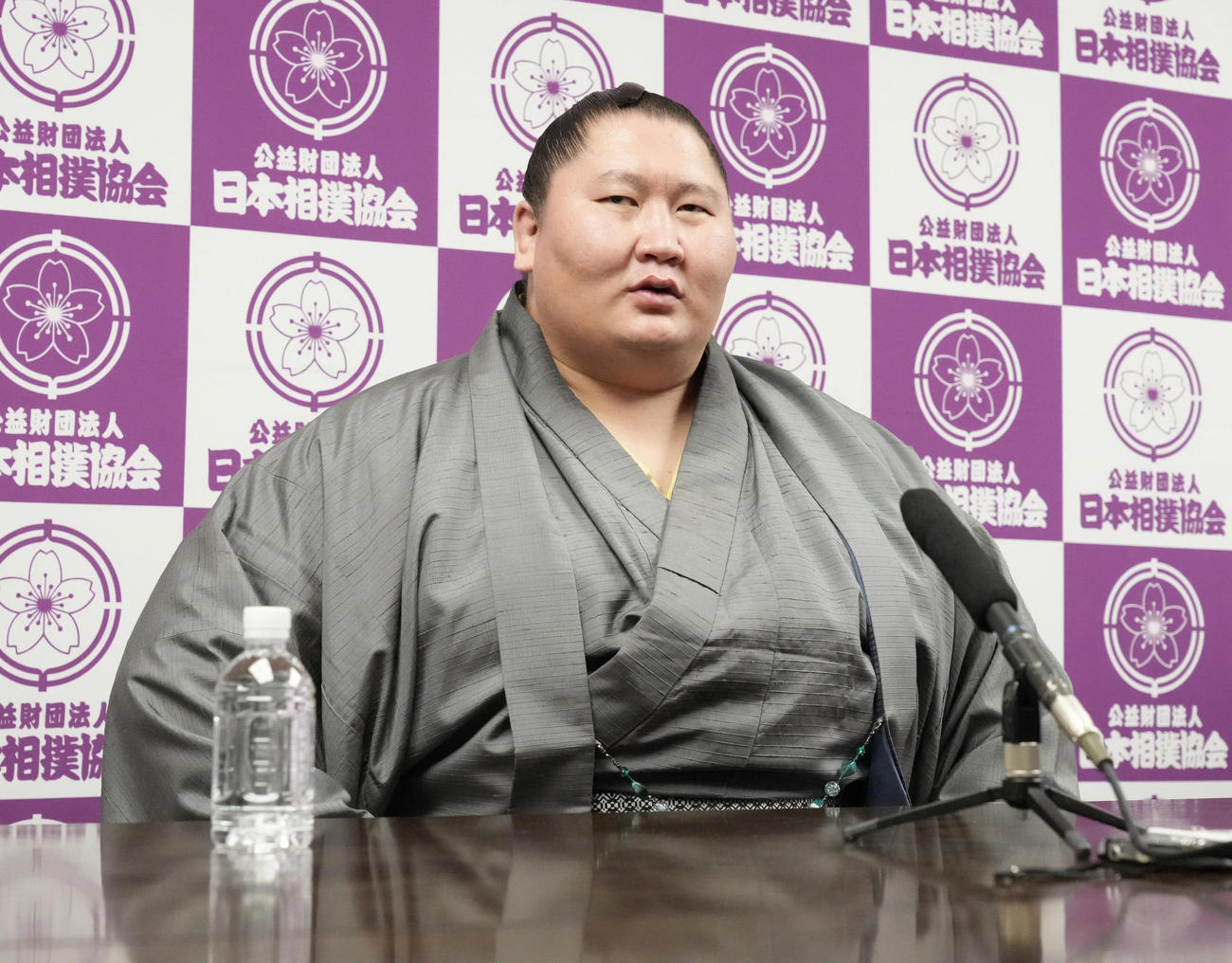 電撃引退の理由は?元力士・逸ノ城の経歴やプロフィールを紹介